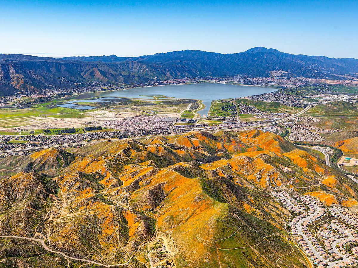 Blog photo of the California Wildflowers covering the mountains near Lake Elsinore, California