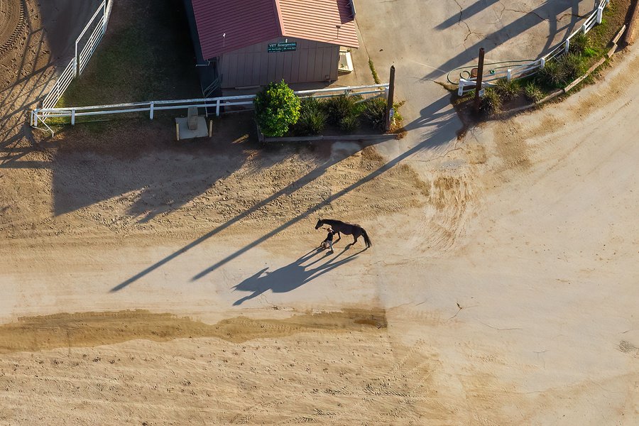 Blog image of a horse and trainer at the Calamigos Equestrian Center in Burbank, California on Christmas Day 2020.