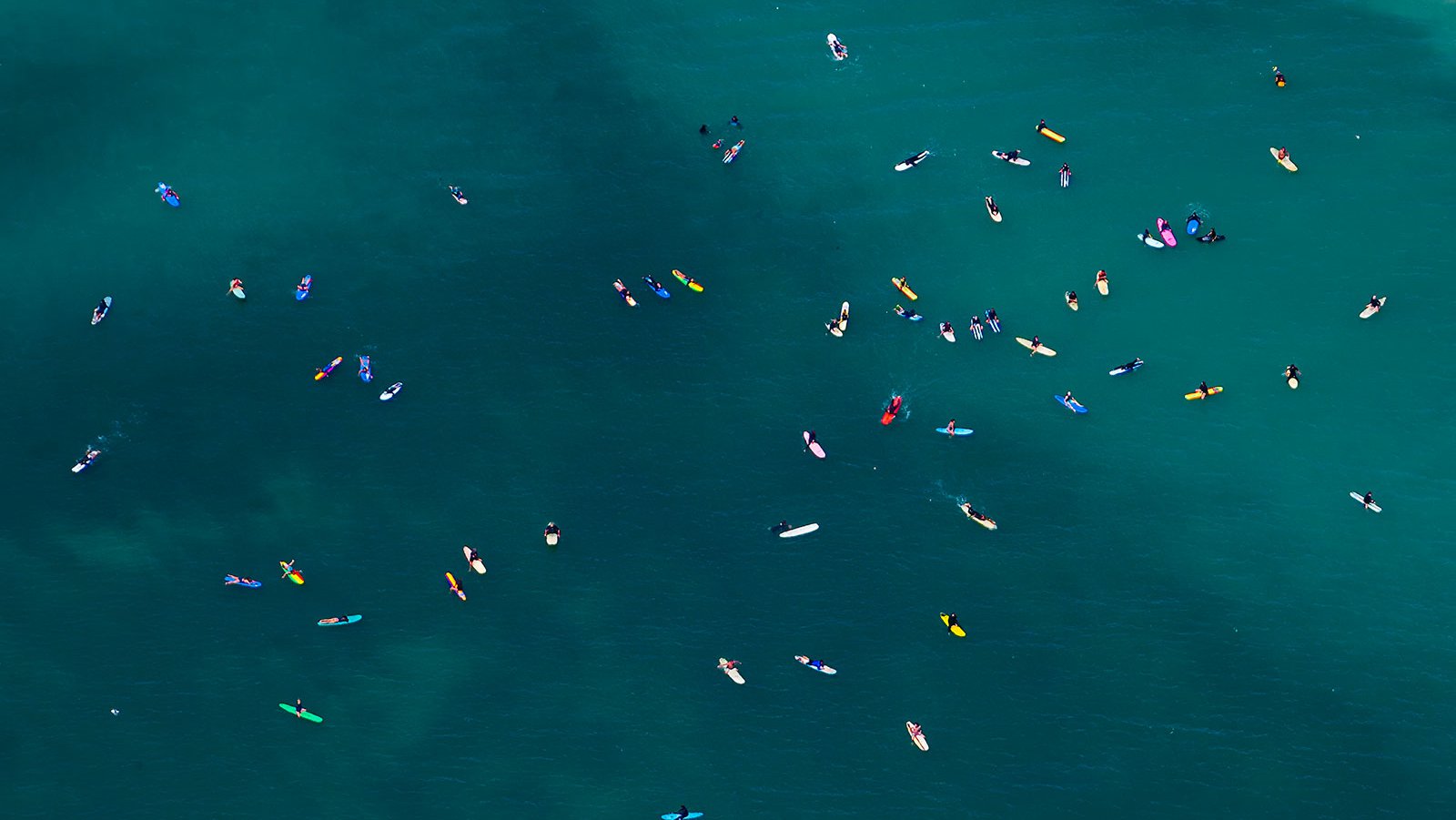 Close-up blog photo of surfers in Dana Point, California enjoying the warm summer weather