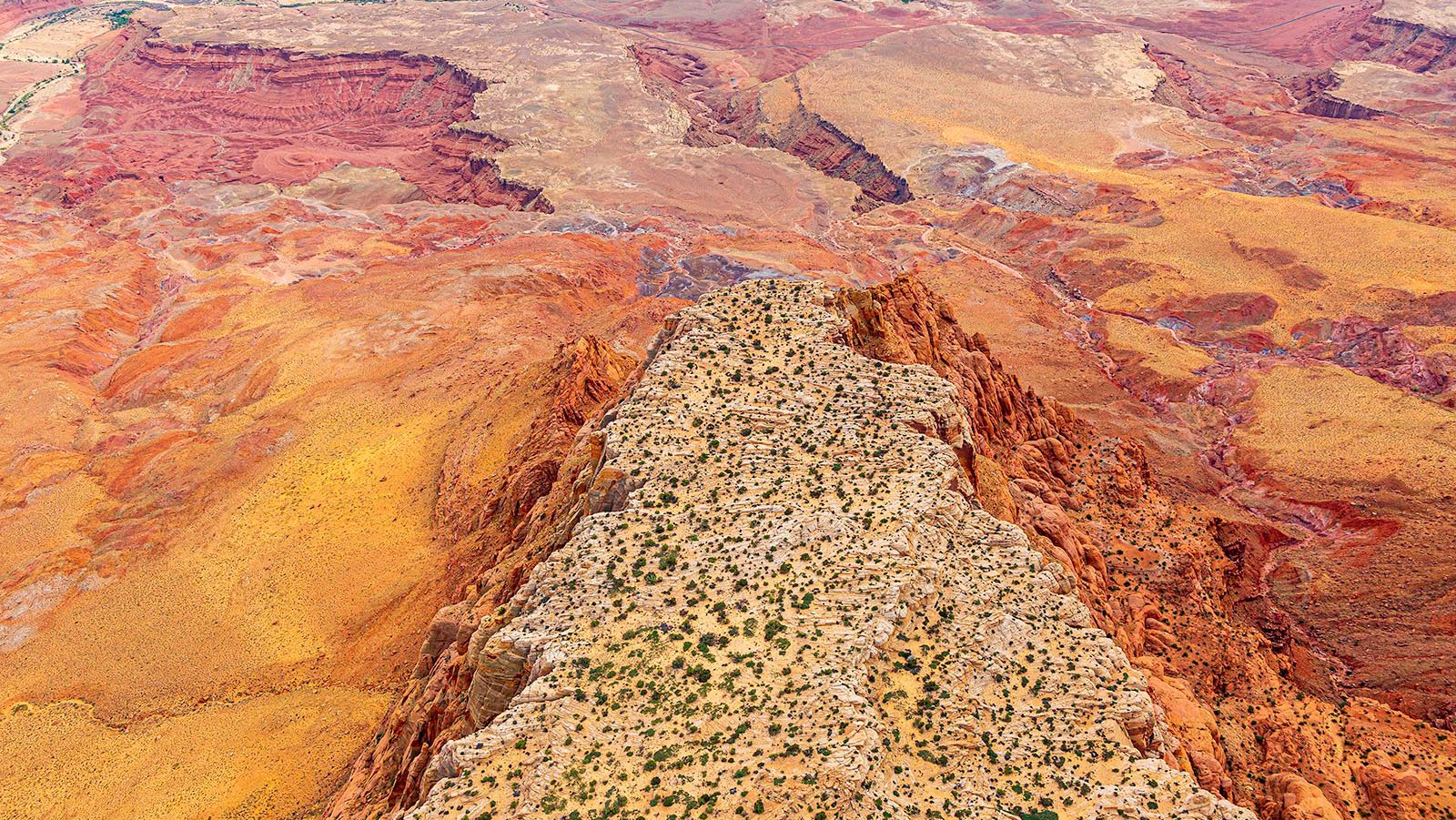 Blog photo of the Grand Canyon National Park abstract photo with yellow and red colors