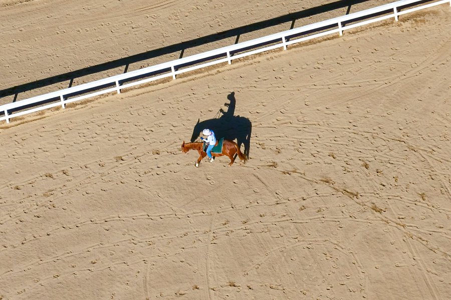 Blog image of a horseback rider on Christmas Day in Los Angeles, California