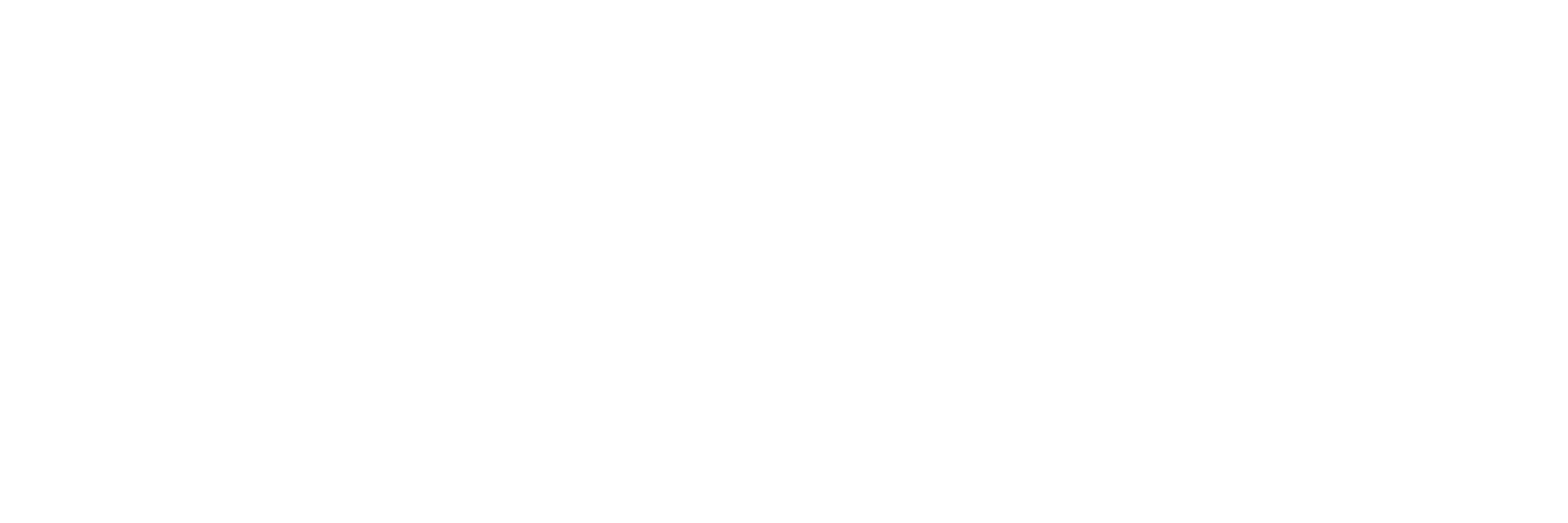 The Spun Logo