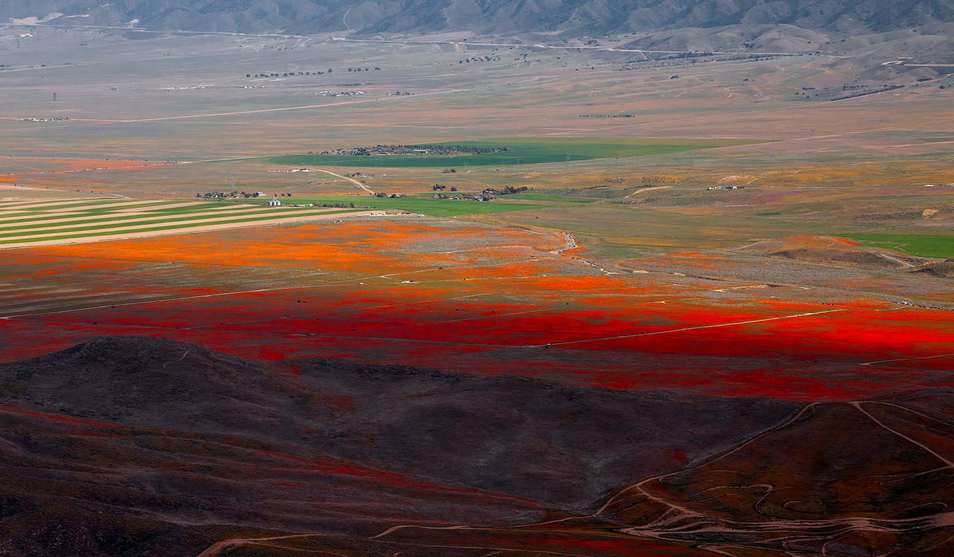 Antelope Valley Poppy Reserve: An Aerial Tour of the Golden State's