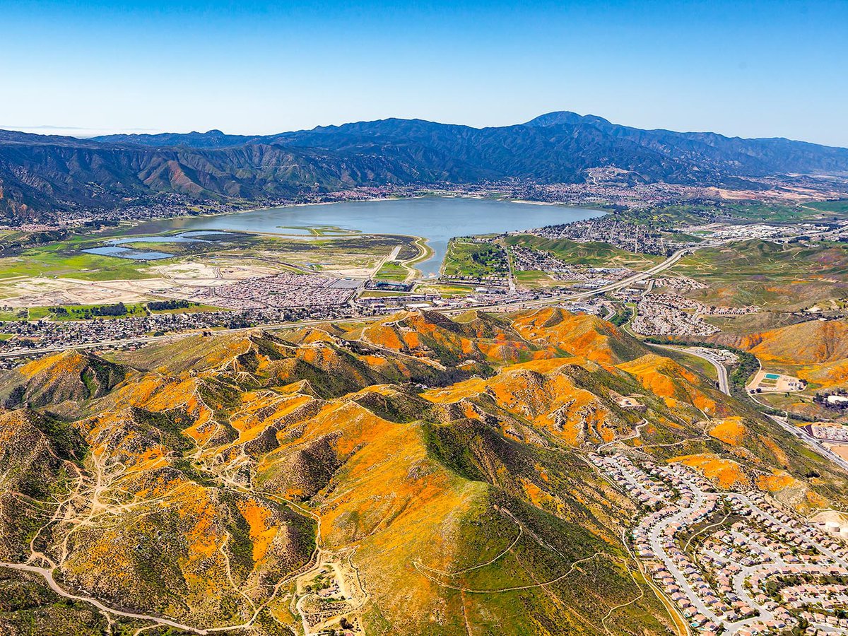 Blog photo of the California Wildflowers covering the mountains near Lake Elsinore, California